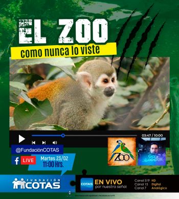 El Zoo