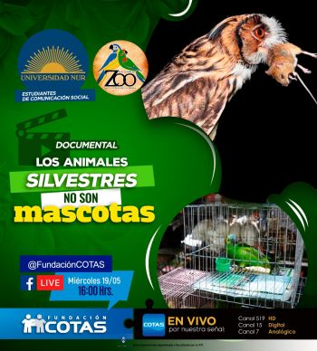 Los Animales Silvestres