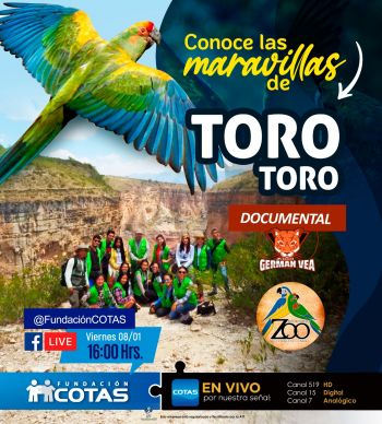 Maravillas de Toro Toro