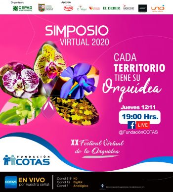 Simposio Virtual