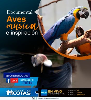 Documental
